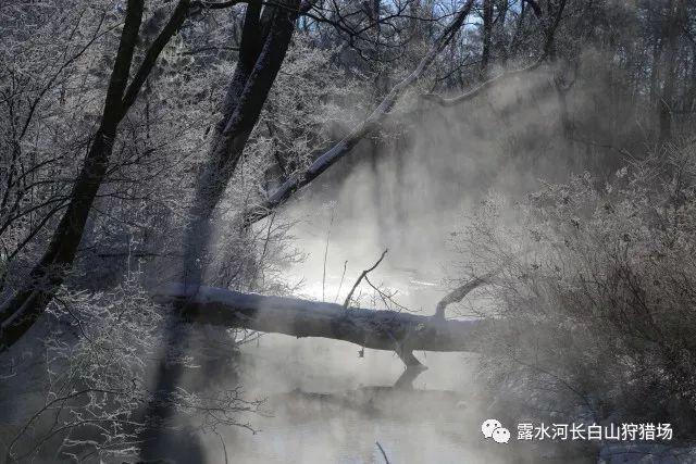 发面葱油饼怎么做才软游戏画面